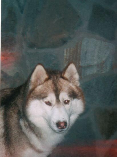 myra (33).jpg